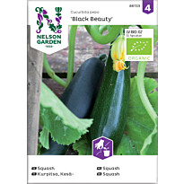 Kesäkurpitsa Nelson Garden Black Beauty Organic, siemenet