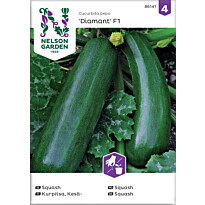 Kesäkurpitsa Nelson Garden Zucchini/Diamant F1, siemenet