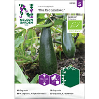 Köynnöskesäkurpitsa Nelson Garden Ola Escaladora Organic, siemenet