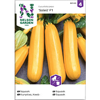 Kesäkurpitsa Nelson Garden Soleil F1, siemenet