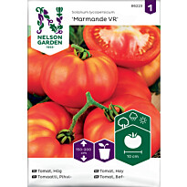 Pihvitomaatti Nelson Garden Marmande VR, siemenet
