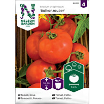 Pensastomaatti Nelson Garden Balkonzauber, siemenet