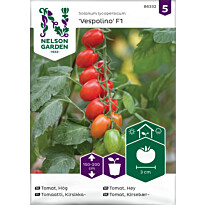 Kirsikkatomaatti Nelson Garden Vespolino F1, siemenet