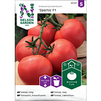 Kasvihuonetomaatti Nelson Garden Sparta F1, siemenet