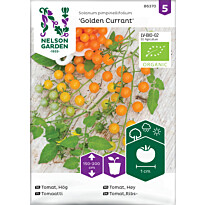 Tomaatti Nelson Garden Golden Currant Organic, siemenet