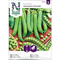 Silpoherne Nelson Garden Kelvedon Wonder, siemenet