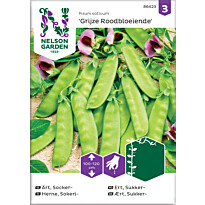 Sokeriherne Nelson Garden Grijze Roodboeiende, siemenet