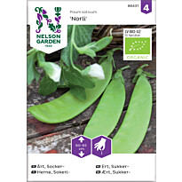 Sokeriherne Nelson Garden Norli Organic, siemenet