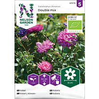 Kiinanasteri Nelson Garden väriseos Organic, siemenet