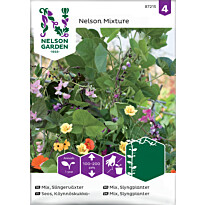 Köynnöskukkaseos Nelson Garden, siemenet