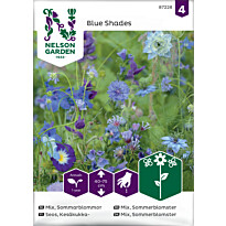 Kesäkukkaseos Nelson Garden, siniset kukat, siemenet