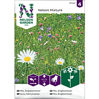 Niittykukkaseos Nelson Garden, siemenet