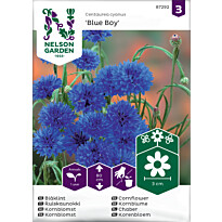Ruiskaunokki Nelson Garden Blue Boy, siemenet