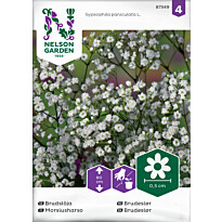 Morsiusharso Nelson Garden, siemenet