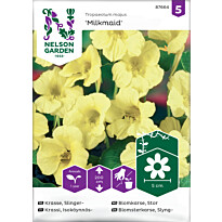 Isoköynnöskrassi Nelson Garden Milkmaid, siemenet