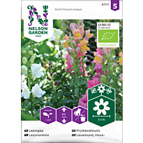 Leijonankita Nelson Garden seos Organic, siemenet