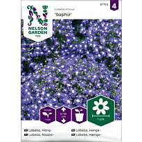 Riippalobelia Nelson Garden Saphir, siemenet