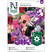 Tuoksuherne Nelson Garden Old Spice mix, siemenet