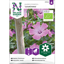 Kesämalvikki Nelson Garden Loveliness Organic, siemenet