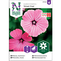 Kesämalvikki Nelson Garden Silver Cup, siemenet