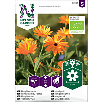 Tarhakehäkukka Nelson Garden väriseos Organic, siemenet