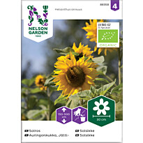 Jättiauringonkukka Nelson Garden Organic, siemenet