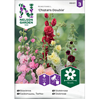 Tarhasalkoruusu Nelson Garden Charter&#039;s Double, siemenet