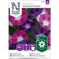 Aitoelämänlanka Nelson Garden Bohemian Shades, siemenet