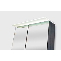 LED-Valaisinlippa Lektar Indoor Suvas, 60 cm
