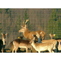 Eläinverkko Zn, hitsattu, 1,0x50m, muuttuva silmäkoko