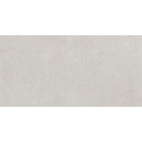 Lattialaatta Pukkila Ease Light Grey, matta, sileä, 59.8x119.8cm