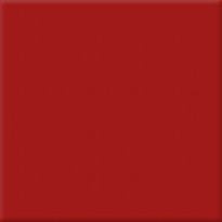 Seinälaatta Pukkila Harmony Carmine, himmeä, sileä, 197x197mm