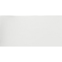 Seinälaatta Pukkila White, kiiltävä, sileä, 600x300mm