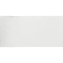 Seinälaatta Pukkila White, kiiltävä, sileä, 295x592mm
