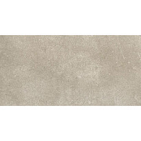 Seinälaatta Pukkila Europe, matta, tasapintainen, 19.7x39.7cm