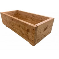 Kukkalaatikko Patio Terassit, 50cm, lehtikuusi, matala