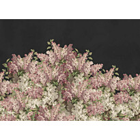 Kuvatapetti Rebel Walls Syringa Flowers musta, mittatilaus, non-woven