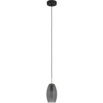 Riippuvalaisin Eglo Batista, 40W, Ø12cm, mattaharmaa/harjattu messinki