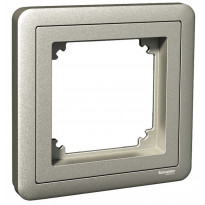 Peitelevy adapterilla Schneider Electric ExxactCombi, 1-osainen