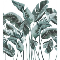 Tapetti ESTA Jungle Fever 158898, 1.86x2.79m, non-woven, vihreä/valkoinen
