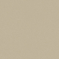 Tapetti Patagonia 36142