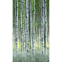 Maisematapetti Smart Art Easy 47220, 1.59x2.70m, non-woven