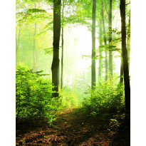 Maisematapetti Smart Art Easy 47221, 2.12x2.70m, non-woven