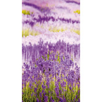 Kuvatapetti One Roll One Motif Lavendel, 1.59x2.80m, non-woven
