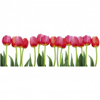 Välitilatarra Dimex Bed of Tulips, 180-350x60cm