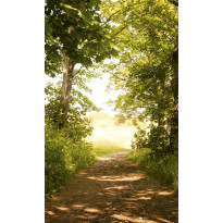 Maisematapetti Dimex Forest Path, 150x250cm
