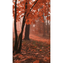 Maisematapetti Dimex Misty Forest, 150x250cm