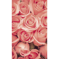 Kuvatapetti Dimex Roses, 150x250cm, roosa, kukkakuosi