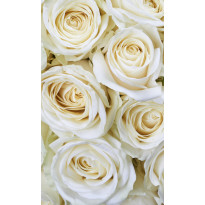 Kuvatapetti Dimex White Roses, 150x250cm, valkoinen