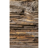 Kuvatapetti Dimex Tree Bark, 150x250cm, ruskea, puukuosi